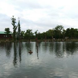 雨のフィッシングパーク高島の泉